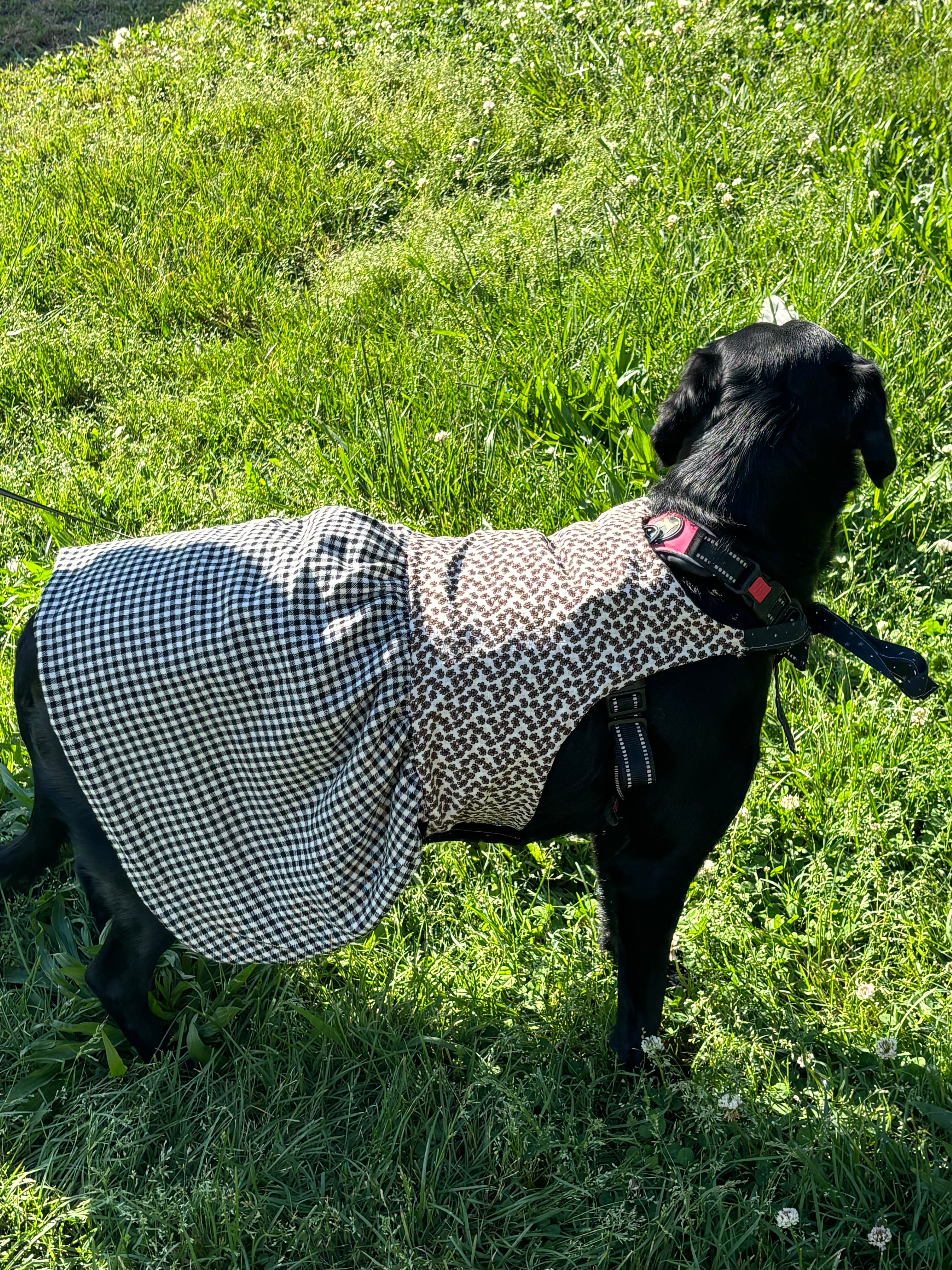 Trixie Reversible Pet Dress