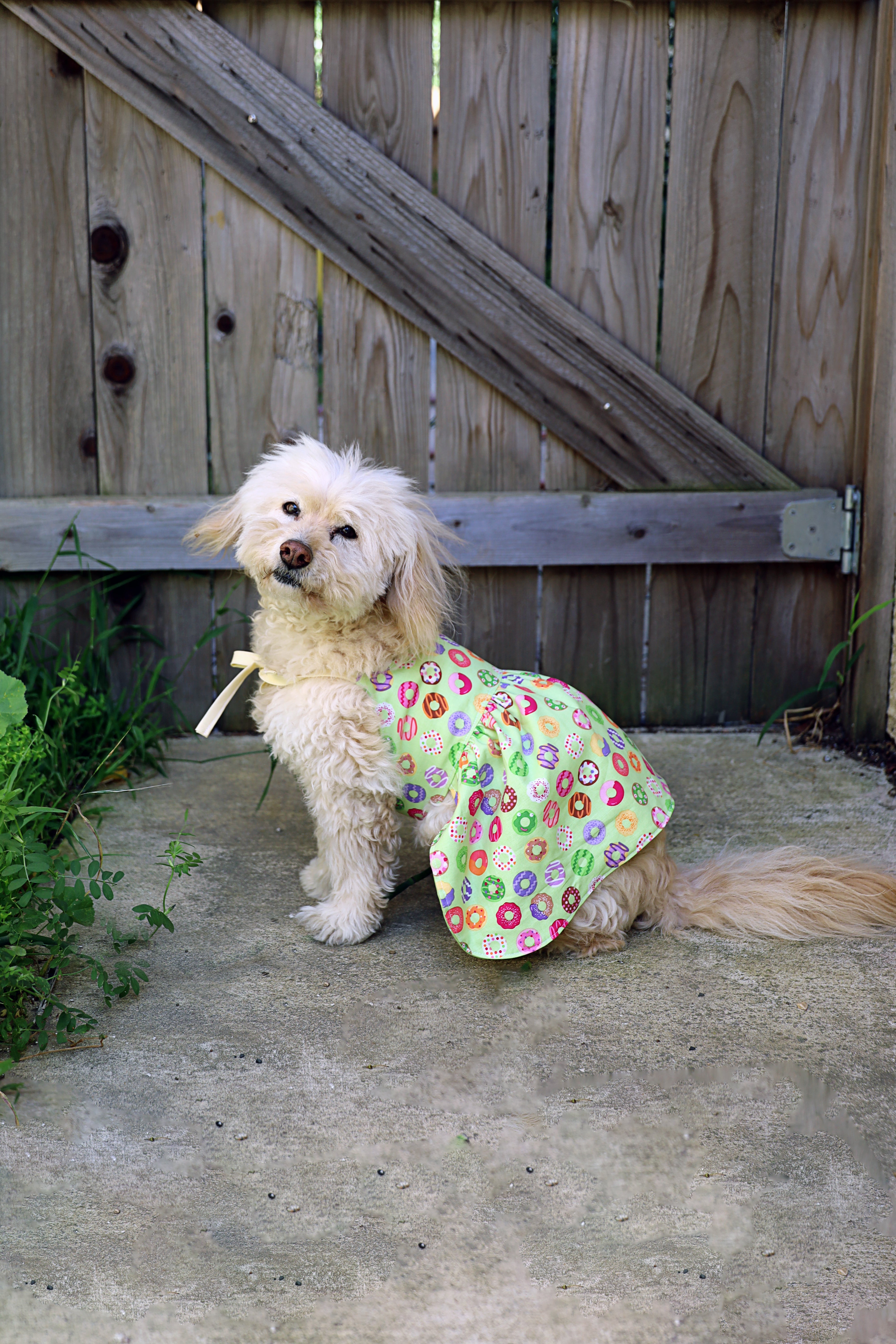 Trixie Reversible Pet Dress