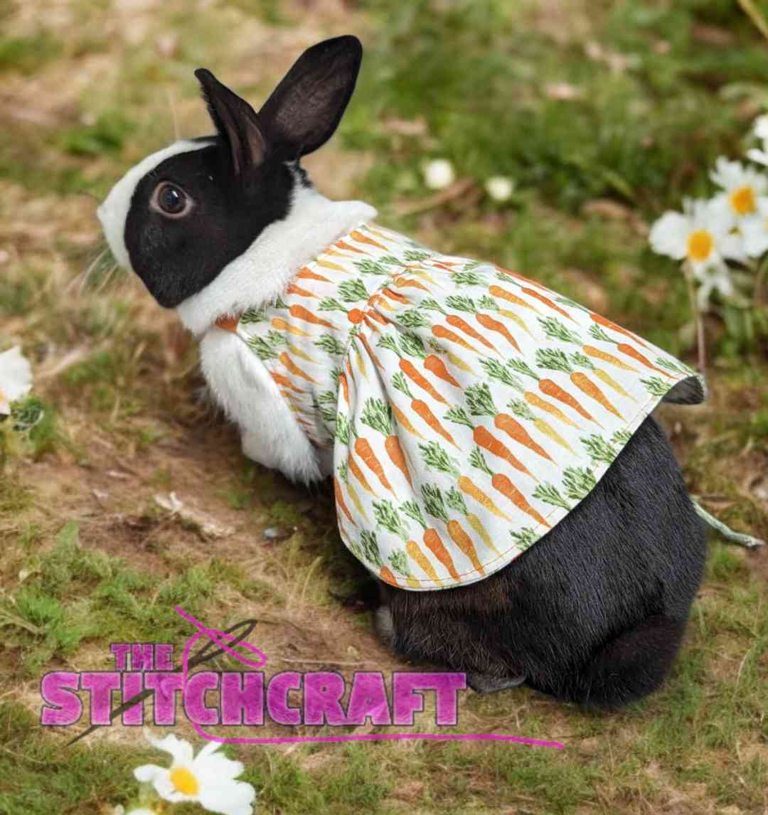 Trixie Reversible Pet Dress