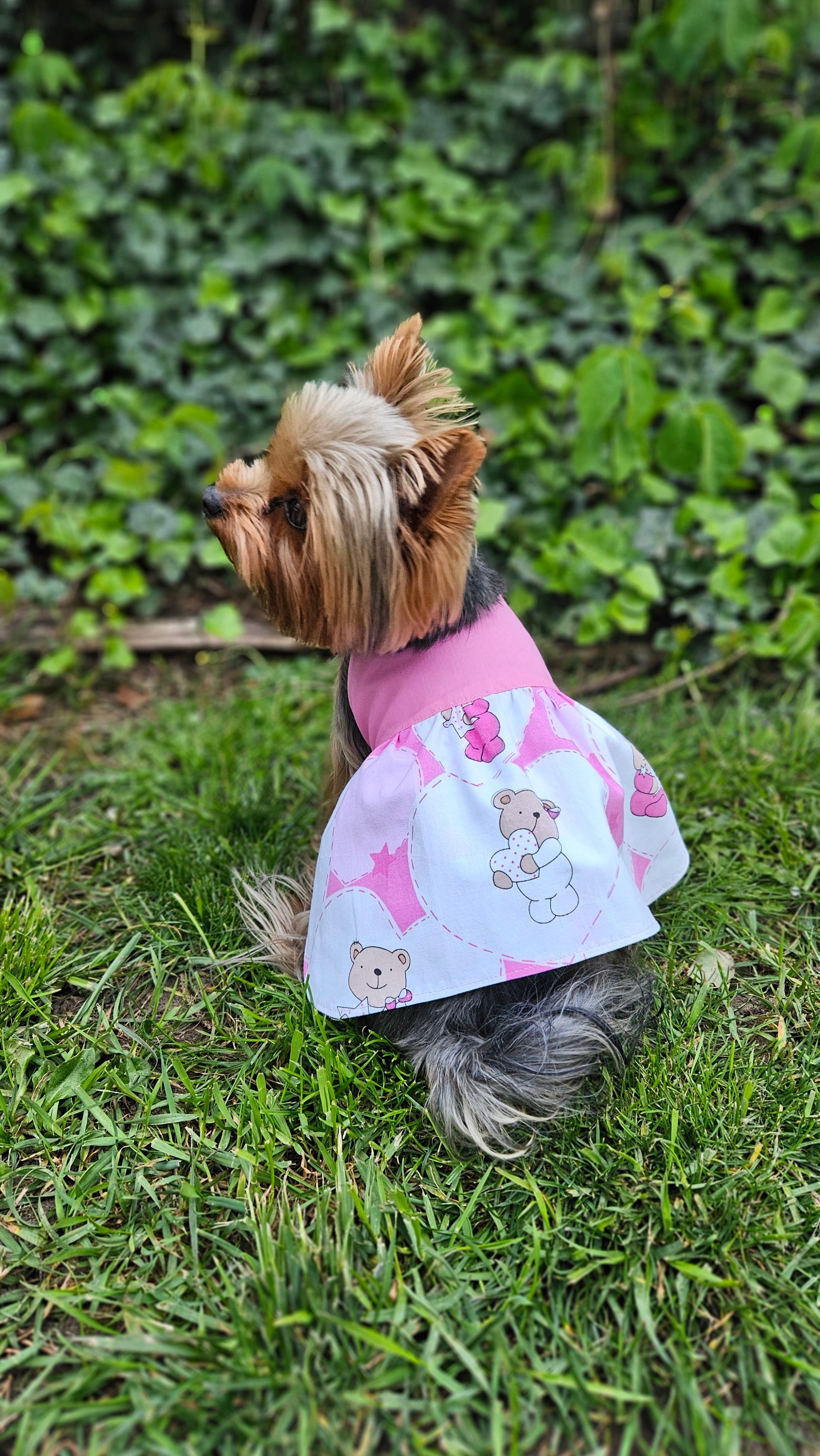 Trixie Reversible Pet Dress